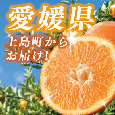 愛媛県産伊予柑 10kg　2L～L