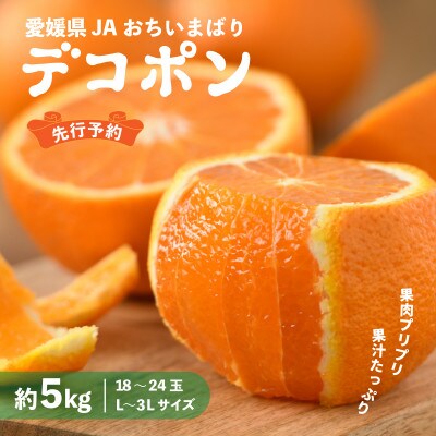 【先行予約】瀬戸内のデコポン 約5kg 3L～L　18玉～24玉　JA選果品　上島・今治産　