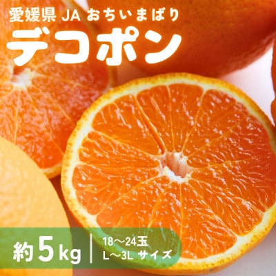 【先行予約】瀬戸内のデコポン 約5kg 3L~L 18玉~24玉 JA選果品 上島・今治産