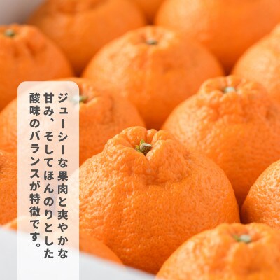【先行予約】瀬戸内のデコポン 約5kg 3L～L　18玉～24玉　JA選果品　上島・今治産　