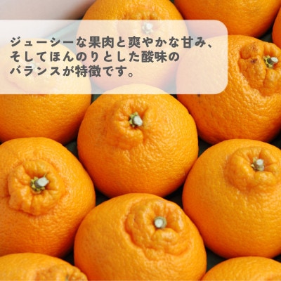 【先行予約】瀬戸内のデコポン 約5kg 3L~L 18玉~24玉 JA選果品 上島・今治産