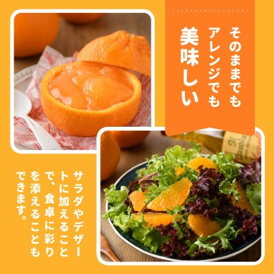 【先行予約】瀬戸内のデコポン 約5kg 3L～L　18玉～24玉　JA選果品　上島・今治産　