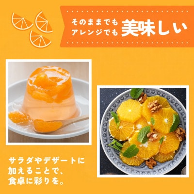 【先行予約】瀬戸内のデコポン 約5kg 3L~L 18玉~24玉 JA選果品 上島・今治産