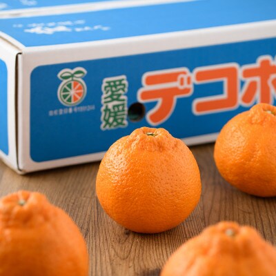 【先行予約】瀬戸内のデコポン 約5kg 3L～L　18玉～24玉　JA選果品　上島・今治産　