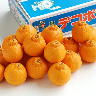 【先行予約】瀬戸内のデコポン 約5kg 3L~L 18玉~24玉 JA選果品 上島・今治産