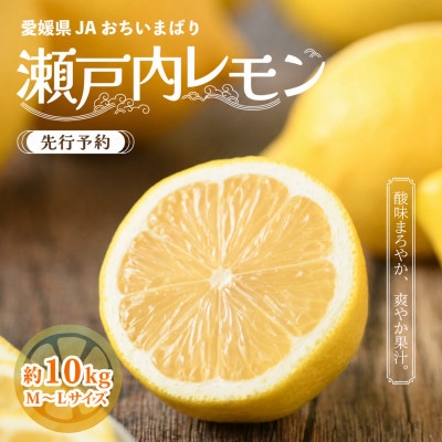 【先行予約】瀬戸内レモン10kg　M～L　JA選果品