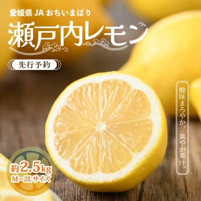 【先行予約】瀬戸内レモン小箱　約2.5K　JA選果品　2L～Mサイズ