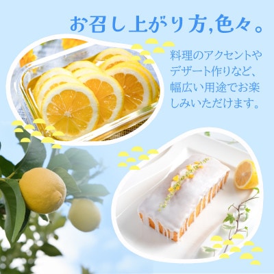 【先行予約】瀬戸内レモン小箱　約2.5K　JA選果品　2L～Mサイズ