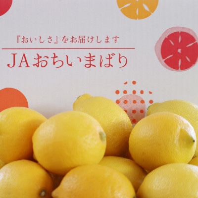 【先行予約】瀬戸内レモン小箱　約2.5K　JA選果品　2L～Mサイズ