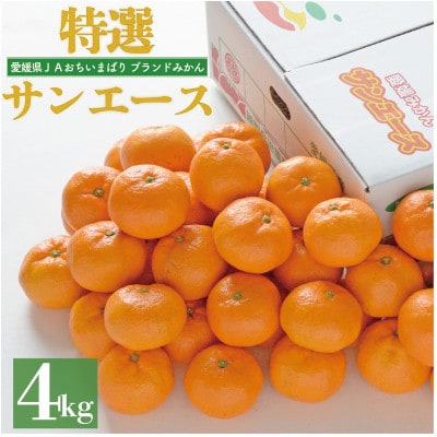 【先行予約】特選温州みかん　サンエース4kg　2L～S　JA選果品