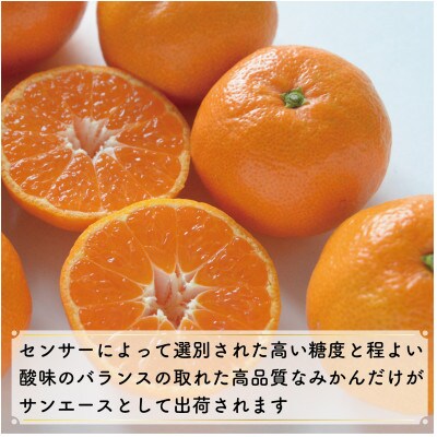 【先行予約】特選温州みかん　サンエース4kg　2L～S　JA選果品
