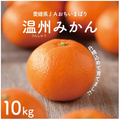【先行予約】瀬戸内の温州みかん10kg　L～S　JA選果品
