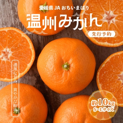 【先行予約】瀬戸内の温州みかん10kg L~S JA選果品