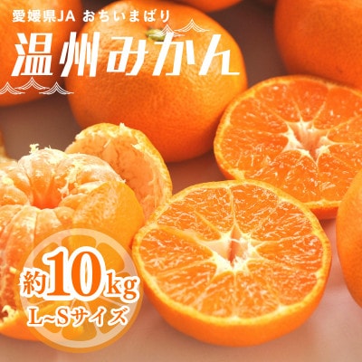【先行予約】瀬戸内の温州みかん10kg　L～S　JA選果品