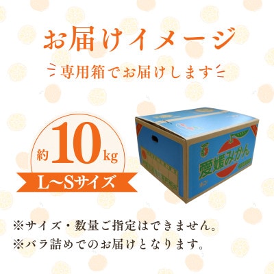 【先行予約】瀬戸内の温州みかん10kg　L～S　JA選果品