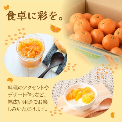 【先行予約】瀬戸内の温州みかん10kg L~S JA選果品