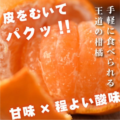 【先行予約】温州みかん4kg　L～S　JA選果品