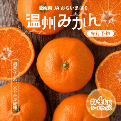 【先行予約】温州みかん4kg　L～S　JA選果品