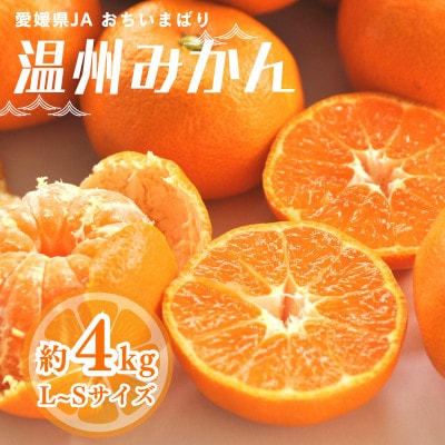 【先行予約】温州みかん4kg L~S JA選果品