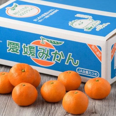 【先行予約】温州みかん4kg　L～S　JA選果品