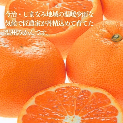 【先行予約】温州みかん4kg L~S JA選果品