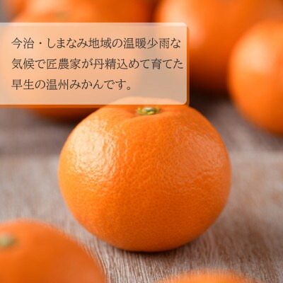 【先行予約】温州みかん4kg　L～S　JA選果品