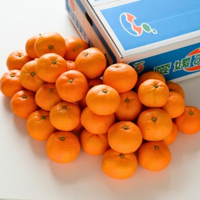 【先行予約】温州みかん4kg L~S JA選果品