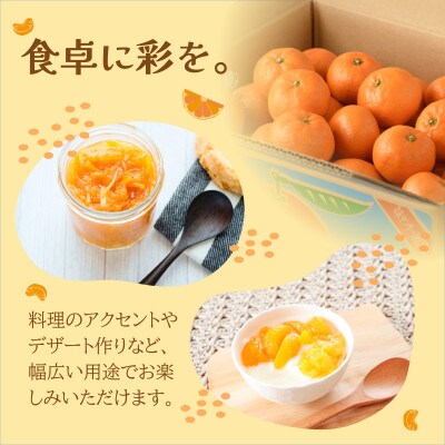 【先行予約】温州みかん4kg　L～S　JA選果品