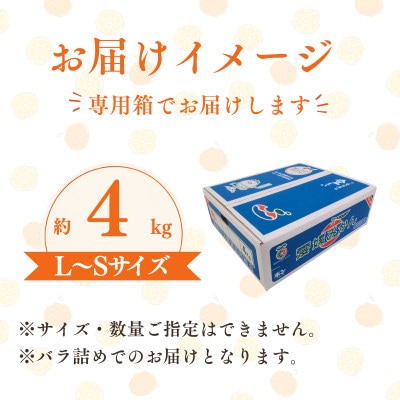 【先行予約】温州みかん4kg L~S JA選果品