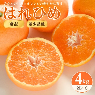 はれひめ4kg