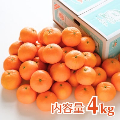 はれひめ4kg