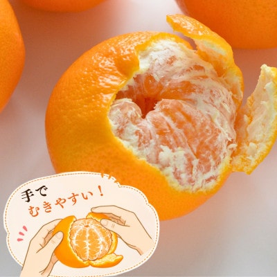 はれひめ4kg