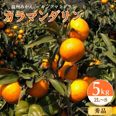 カラマンダリン5kg　愛媛県産