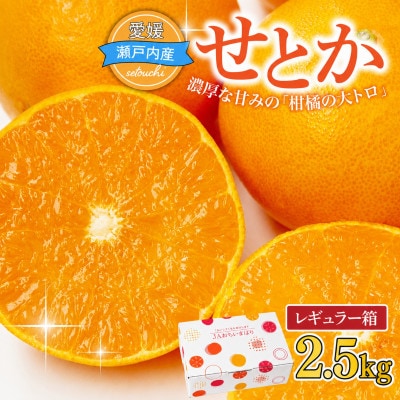 【先行受付】せとか　2.5kg　JA選果品　愛媛県JAおちいまばり