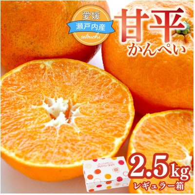 【先行受付】人気柑橘　甘平  2.5kg　愛媛県　JAおちいまばり