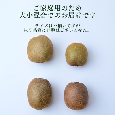 ご家庭用キウイフルーツ 2.5kg