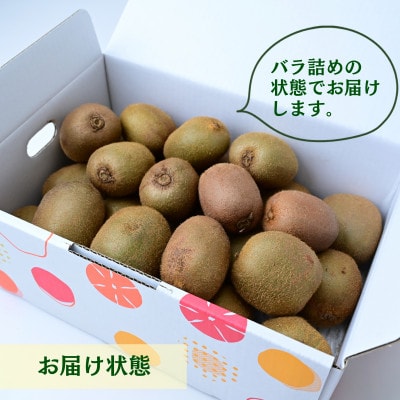 ご家庭用キウイフルーツ 2.5kg