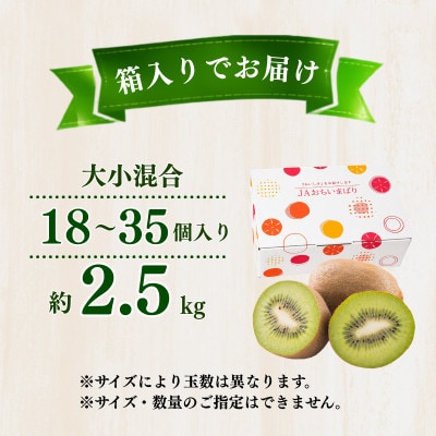 ご家庭用キウイフルーツ 2.5kg