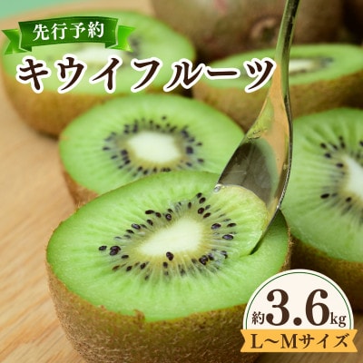 愛媛県産キウイフルーツ  3.6kg