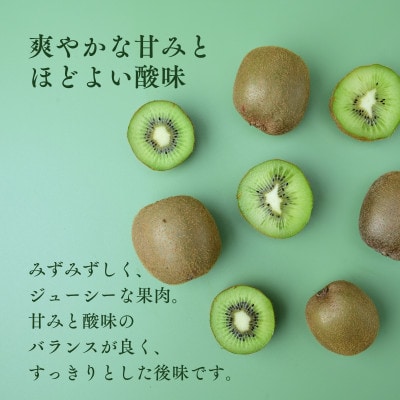 愛媛県産キウイフルーツ  3.6kg