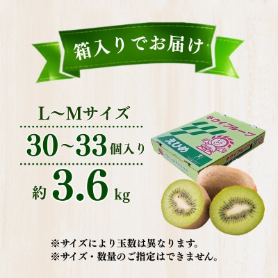 愛媛県産キウイフルーツ  3.6kg