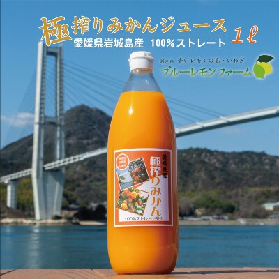 愛媛　ブルーレモンファームのごくしぼりみかんジュース　1L　1本