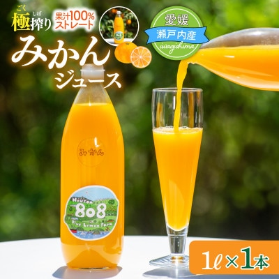 愛媛　ブルーレモンファームのごくしぼりみかんジュース　1L　1本