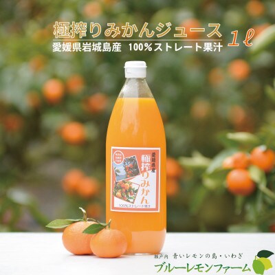 愛媛　ブルーレモンファームのごくしぼりみかんジュース　1L　1本