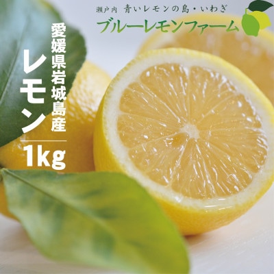 愛媛　ブルーレモンファームのレモン　約1kg　【2024年4月～順次発送】