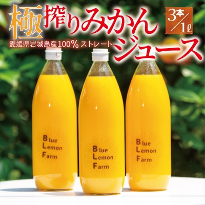愛媛　ブルーレモンファームのごくしぼりみかんジュース　1L　3本