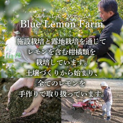 愛媛　ブルーレモンファームのごくしぼりみかんジュース　1L　3本