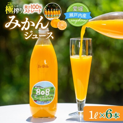 愛媛　ブルーレモンファームのごくしぼりみかんジュース　1L　6本
