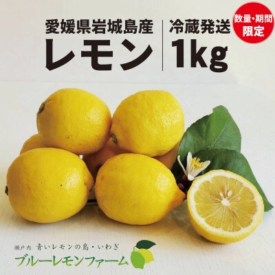 愛媛　ブルーレモンファームのレモン　1kg【冷蔵便】期間・数量限定