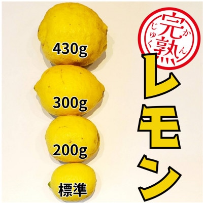 ブルーレモンファームの太陽をたっぷり浴びたドデカレモン 木なり完熟レモン 3kg 【冷蔵便】
